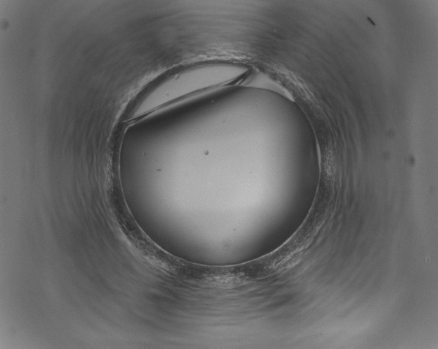 X0000072970540200608211324