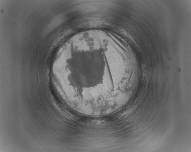 X0000072970542200608211324