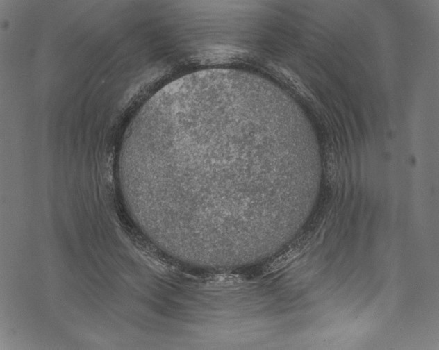 X0000072970543200608211324