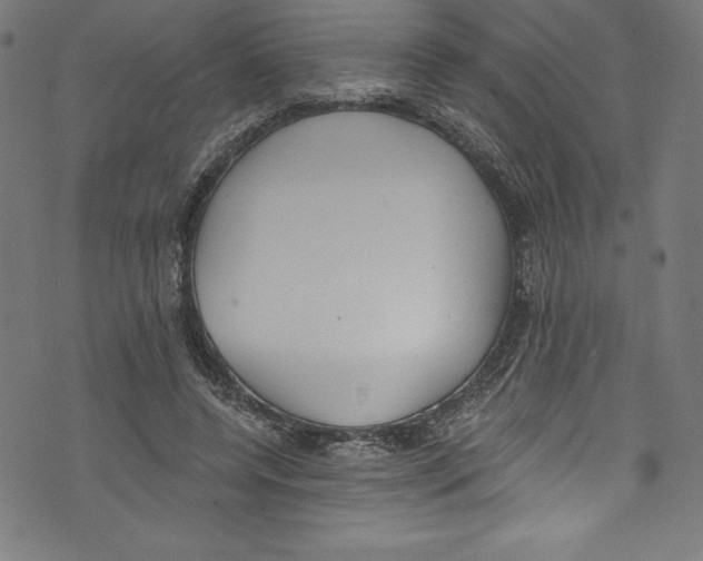 X0000072970544200608211324