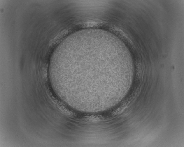 X0000072970545200608211324