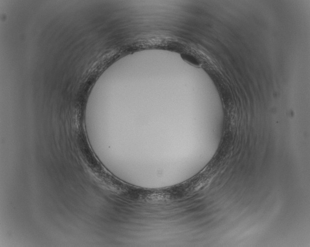 X0000072970546200608211324