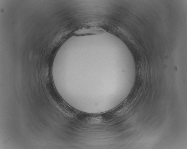 X0000072970548200608211324