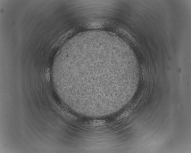 X0000072970549200608211324