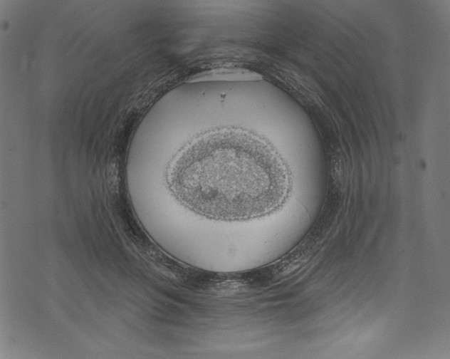 X0000072970551200608211324