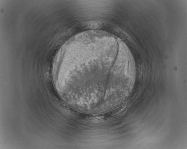 X0000072970553200608211324