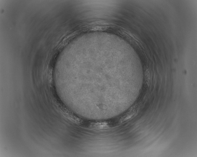 X0000072970554200608211324