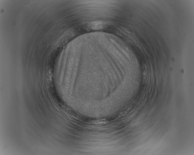 X0000072970555200608211324