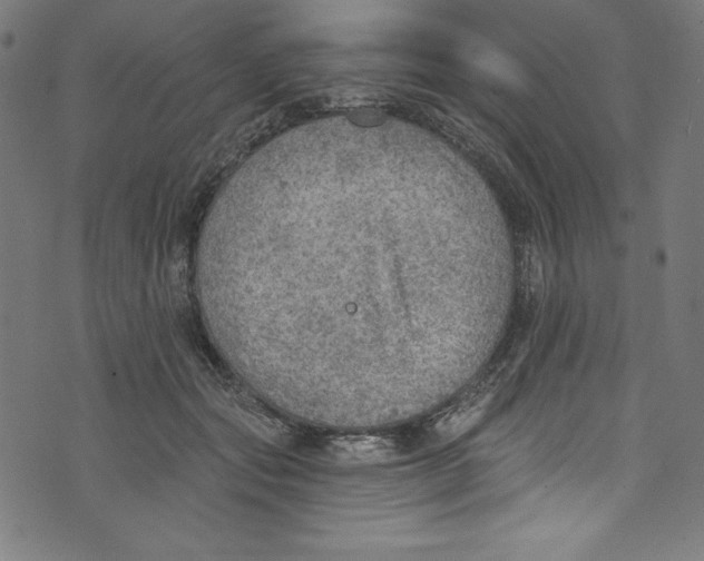 X0000072970557200608211324