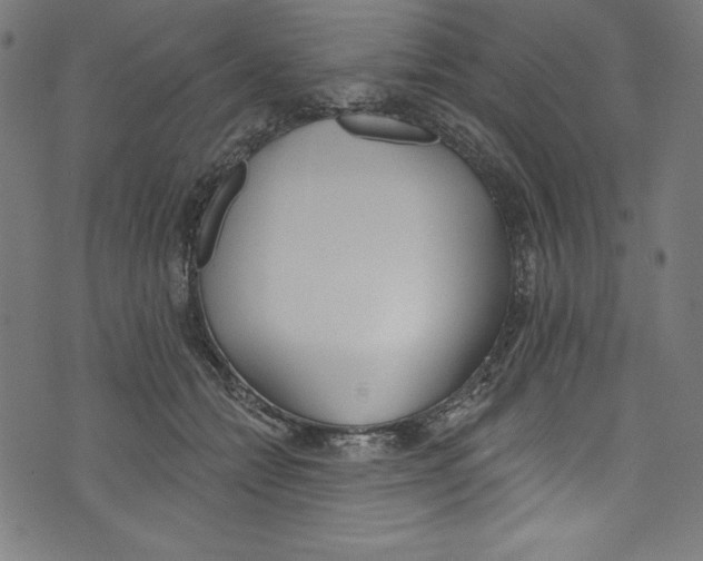 X0000072970558200608211324