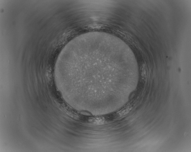 X0000072970559200608211324