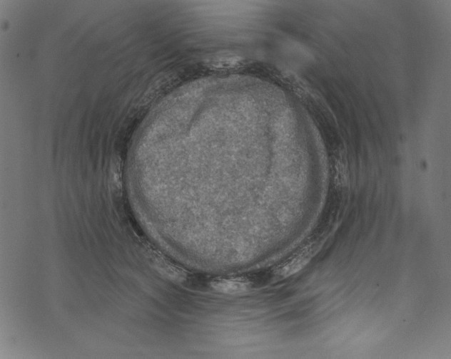 X0000072970561200608211324