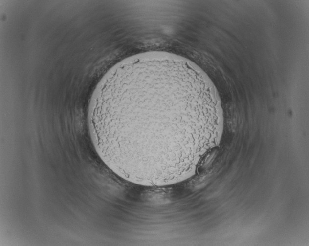 X0000072970563200608211325