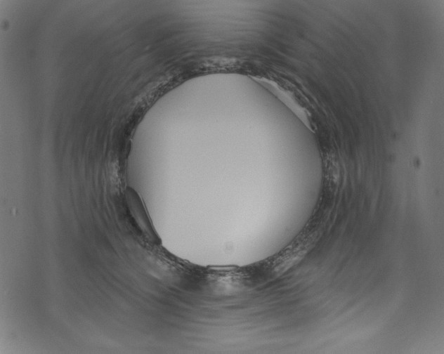 X0000072970564200608211325