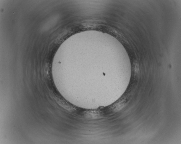 X0000072970567200608211325