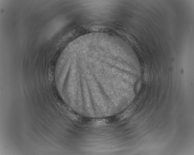 X0000072970569200608211325