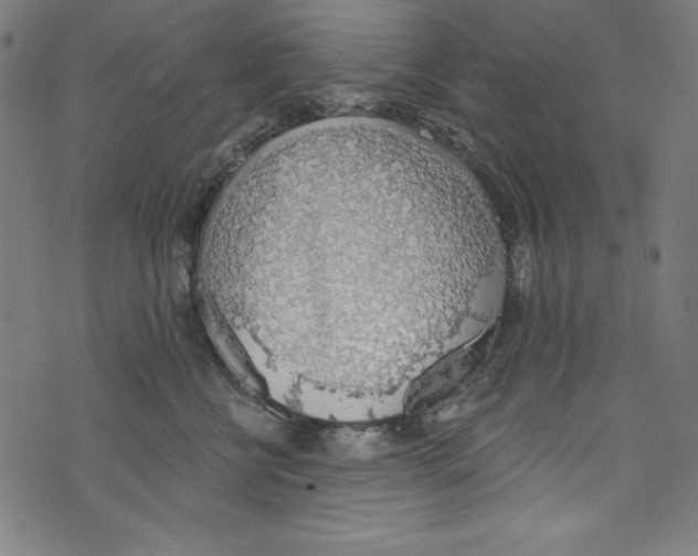 X0000072970570200608211325