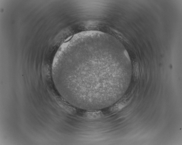 X0000072970571200608211325