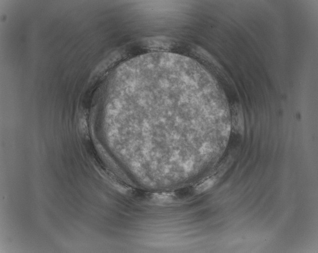 X0000072970573200608211325