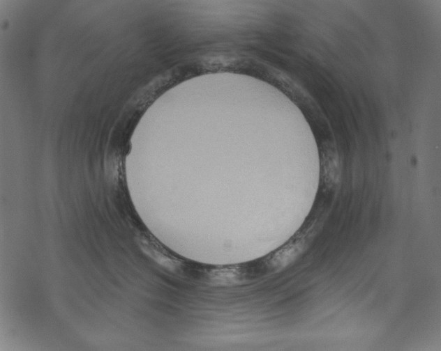 X0000072970574200608211325