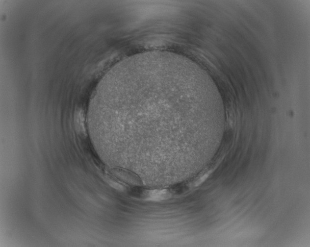 X0000072970575200608211325