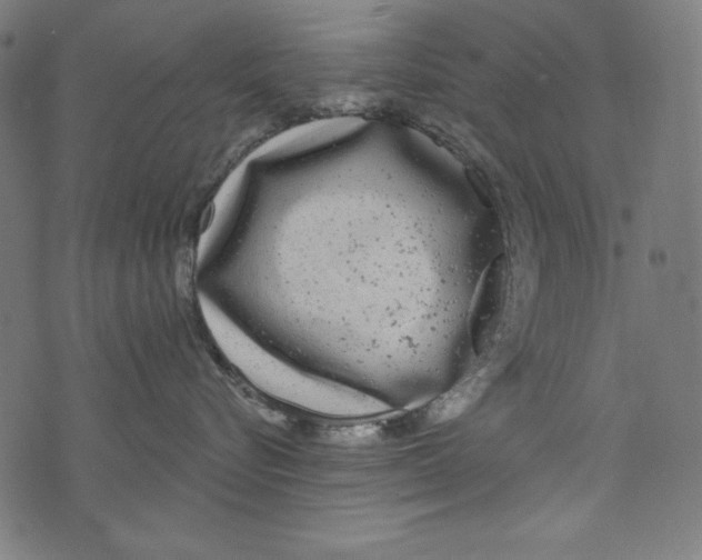 X0000072970576200608211325