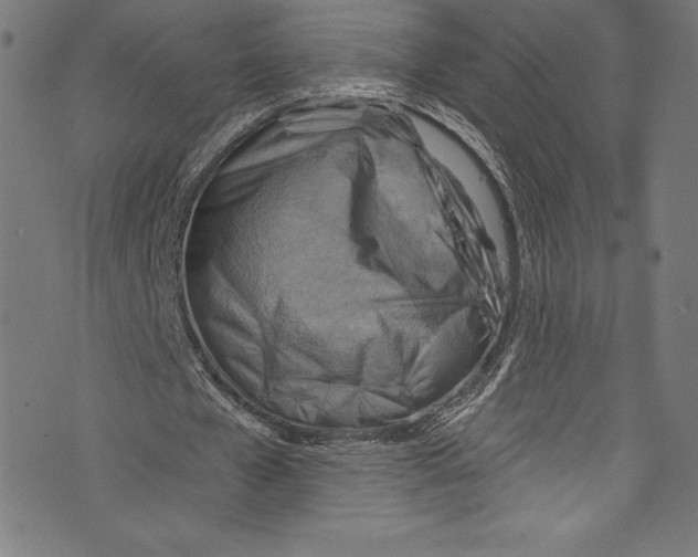 X0000072970577200608211324