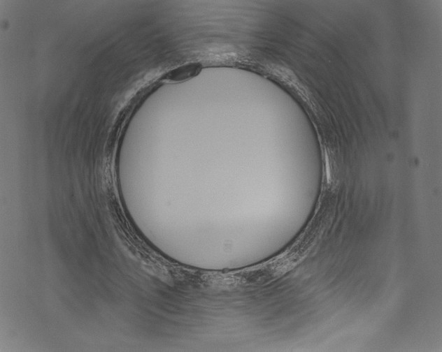 X0000072970579200608211324