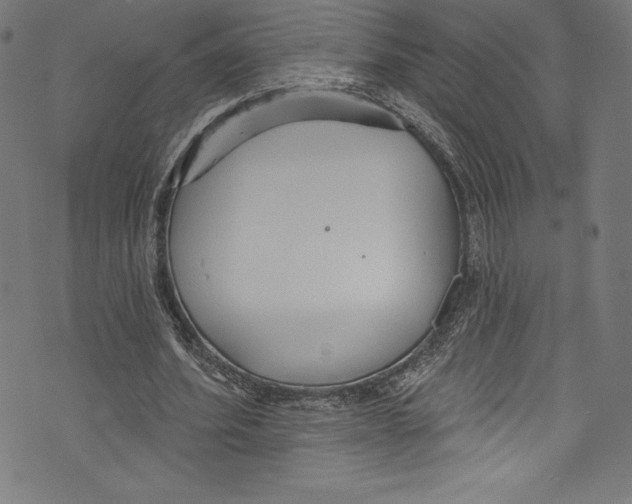 X0000072970580200608211324