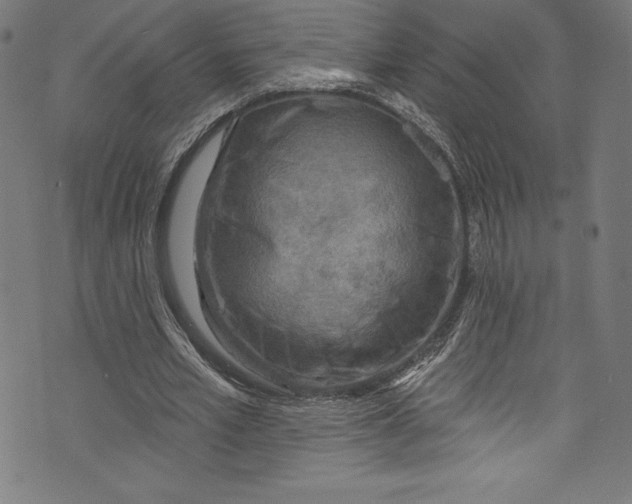 X0000072970581200608211324