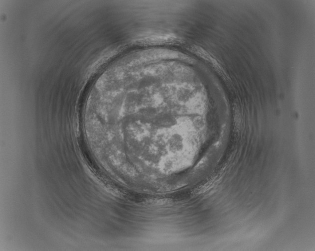 X0000072970582200608211324