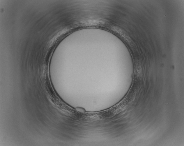 X0000072970583200608211324