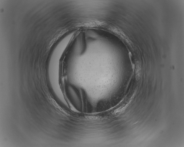 X0000072970585200608211324