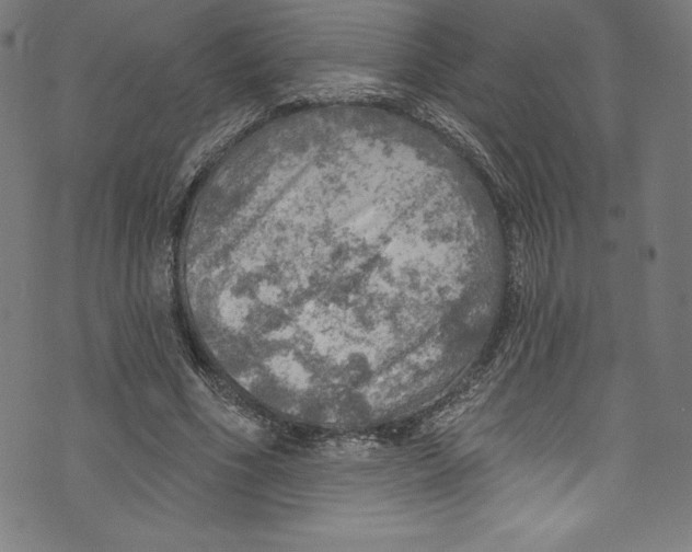 X0000072970586200608211324