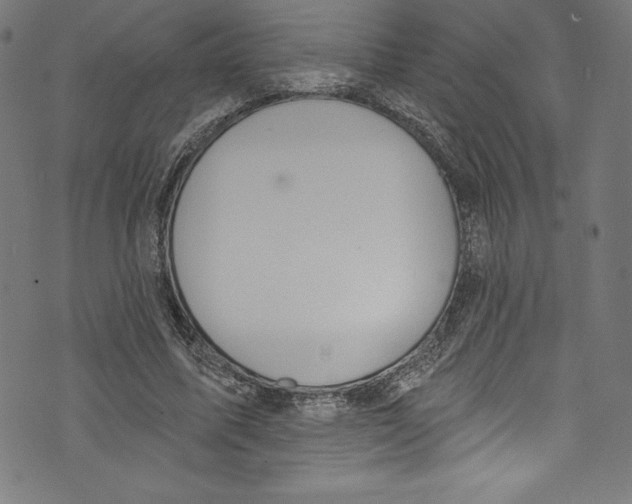 X0000072970587200608211324