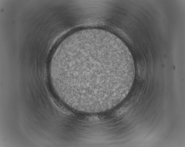 X0000072970588200608211324