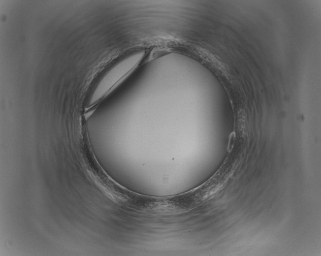 X0000072970589200608211324