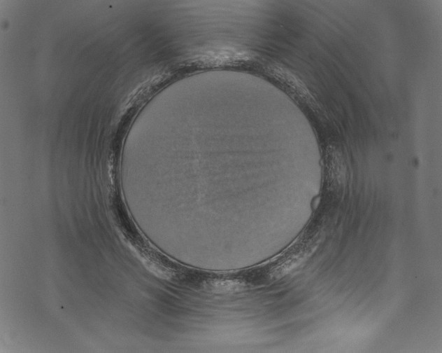 X0000072970590200608211324