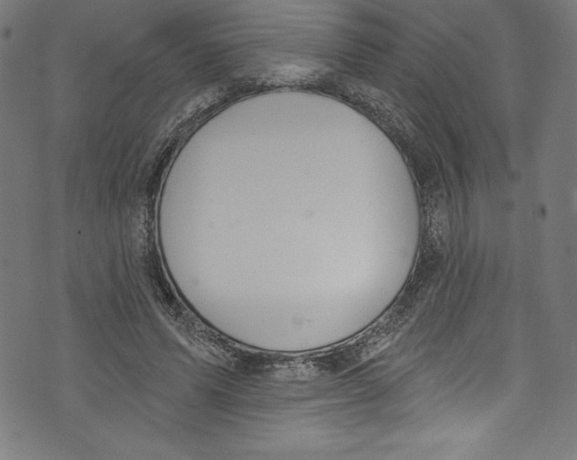 X0000072970591200608211324