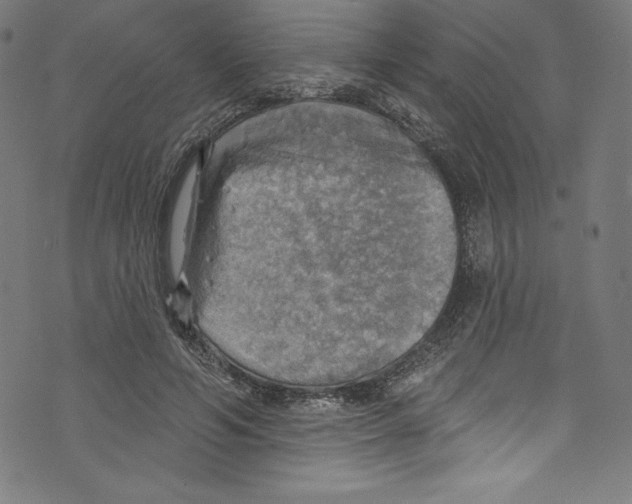 X0000072970594200608211324