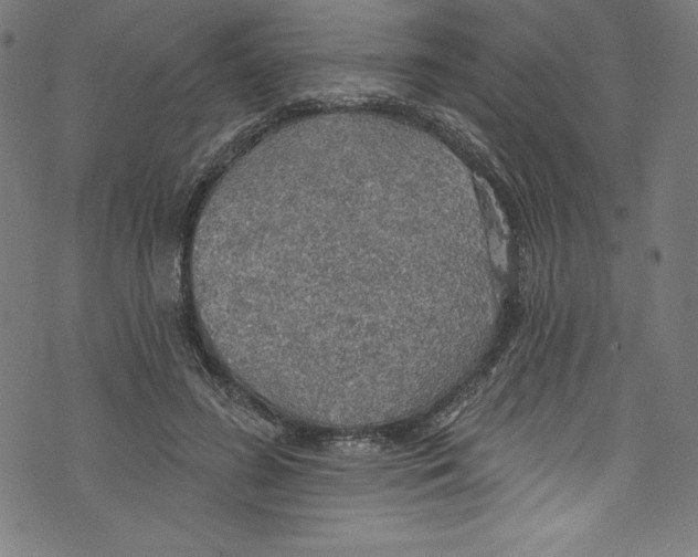 X0000072970596200608211324