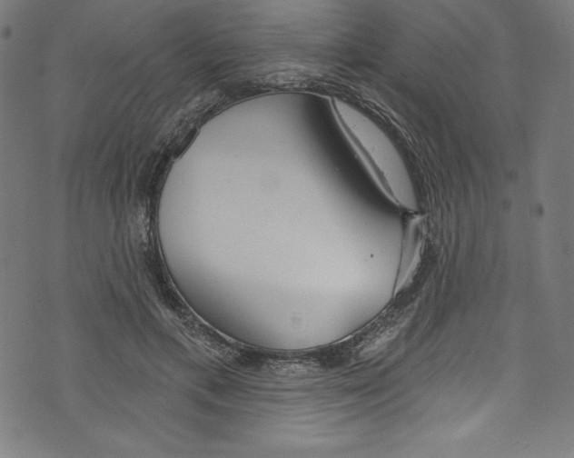 X0000072970597200608211324