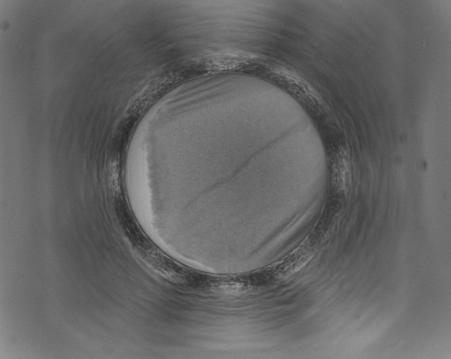 X0000072970598200608211324