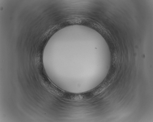 X0000072970600200608211324