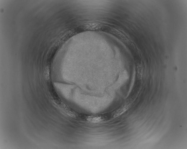 X0000072970602200608211324