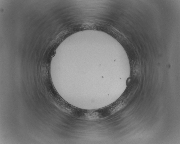 X0000072970603200608211324