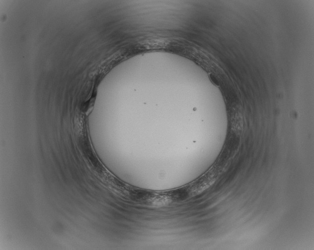 X0000072970604200608211324