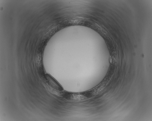 X0000072970605200608211323