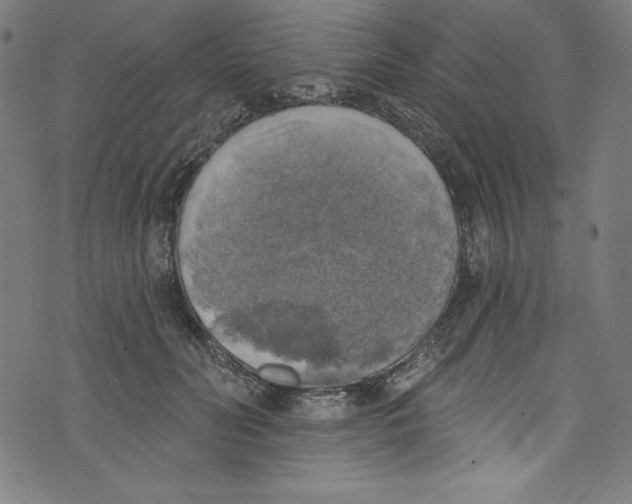 X0000072970606200608211323