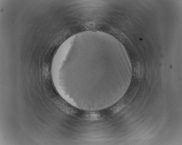 X0000072970610200608211323